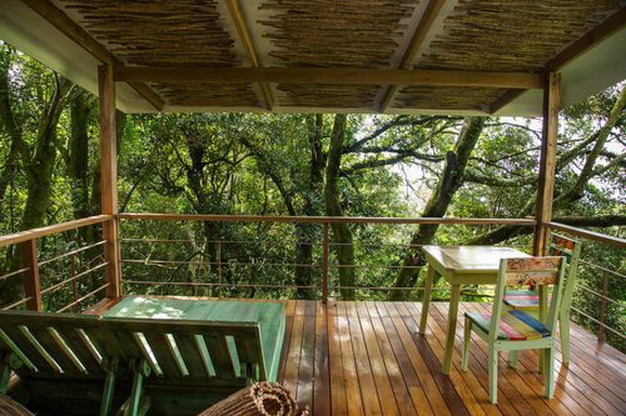 Chayote Lodge Zarcero Esterno foto